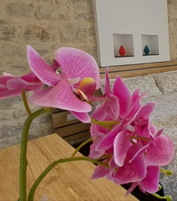 B&B Cuore Barocco Ragusa Bagian luar foto